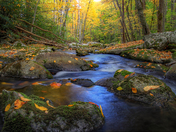 Great Smoky Mountains National Park