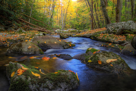 Great Smoky Mountains National Park
