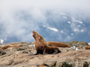 Chugach National Forest