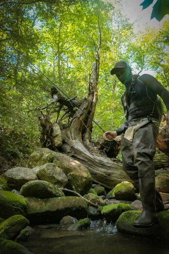 Shenandoah National Park, Virginia
