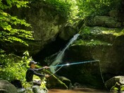 Shenandoah National Park