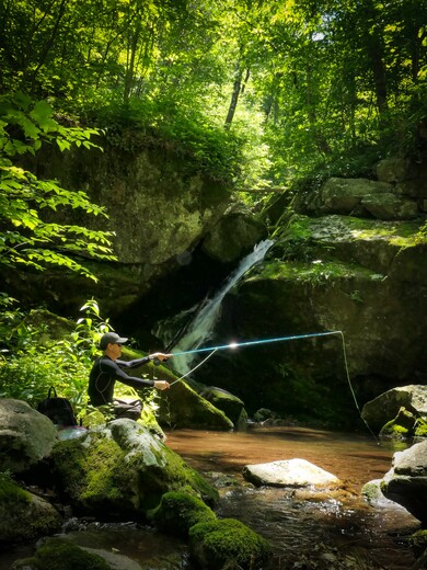 Shenandoah National Park