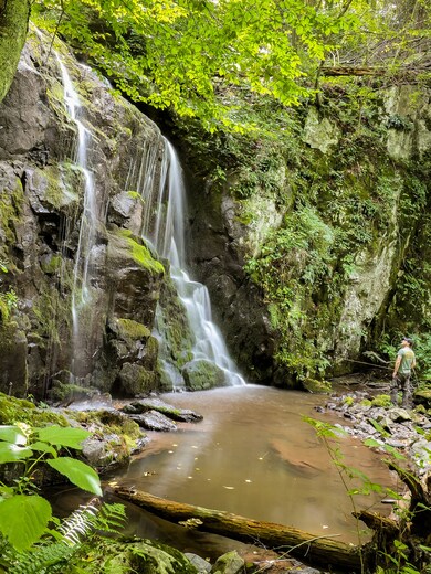 Shenandoah National Park
