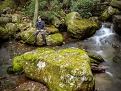 Shenandoah National Park, Virginia