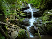 Shenandoah National Park