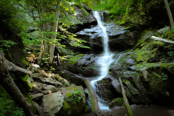 Shenandoah National Park