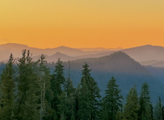 Umpqua National Forest 