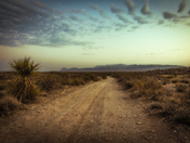 Big Bend National Park