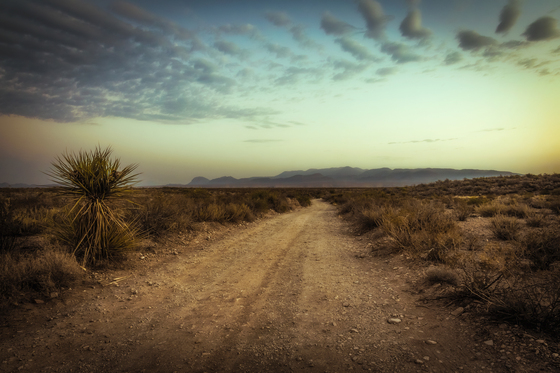 Big Bend National Park