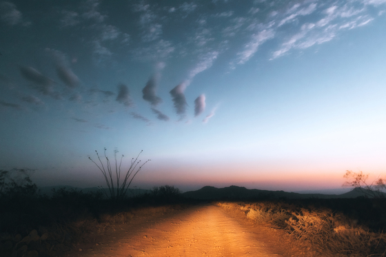Big Bend National Park