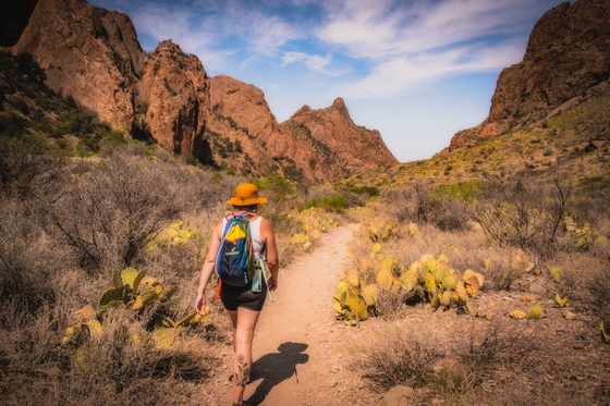 Big Bend National Park