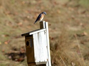 Rachel Carson National Wildlife Refuge