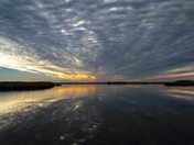 Blackwater National Wildlife Refuge