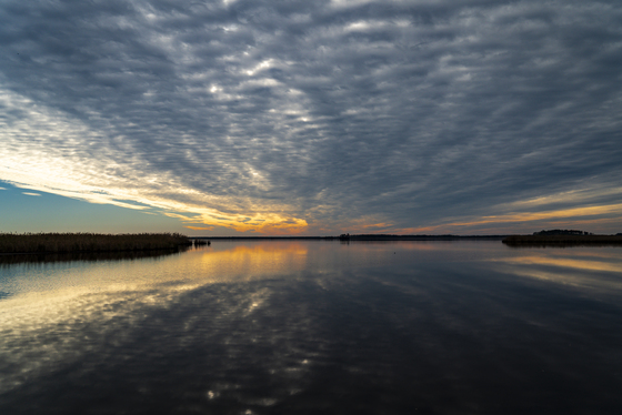 Blackwater National Wildlife Refuge