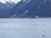 Kenai Fjords National Park