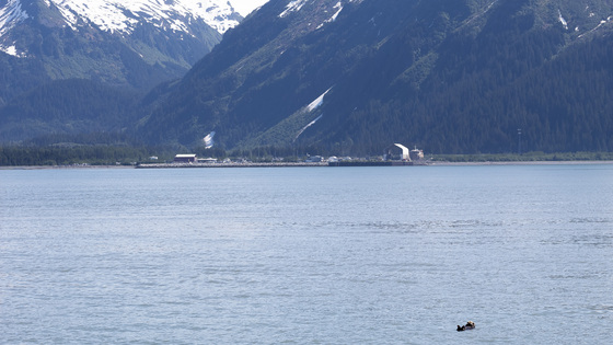 Kenai Fjords National Park