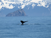 Kenai Fjords National Park