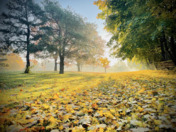 Seasonal Changes