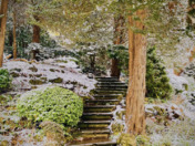 Seasonal Changes