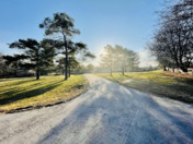 Seasonal Changes