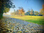 Seasonal Changes