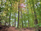 Seasonal Changes