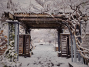 Seasonal Changes
