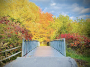 Seasonal Changes