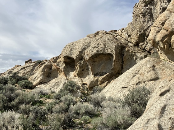 BLM Nevada - Winnemucca District