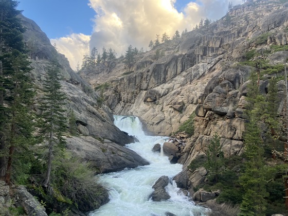Stanislaus National Forest