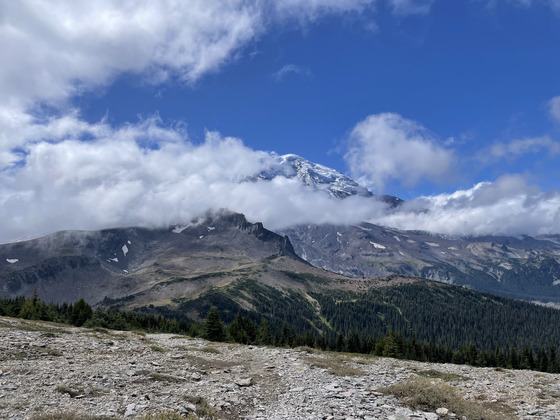 Mount Rainier National Park