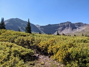 Ashley National Forest