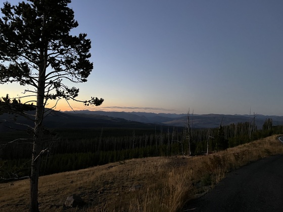 Yellowstone