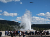 Yellowstone