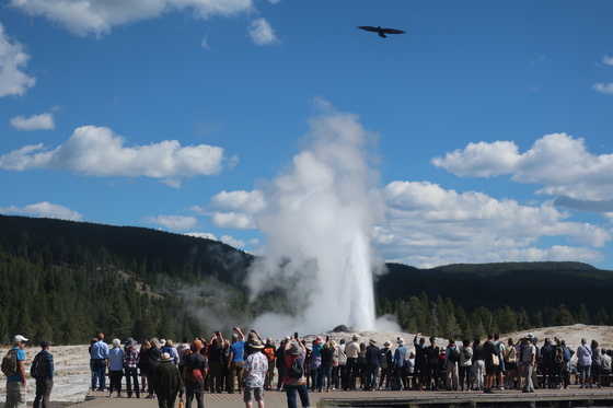 Yellowstone