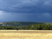 Yellowstone