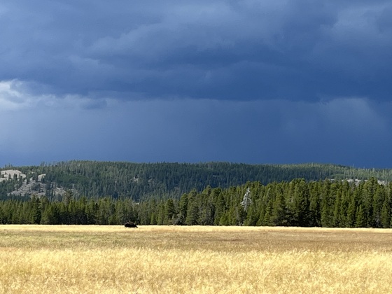 Yellowstone