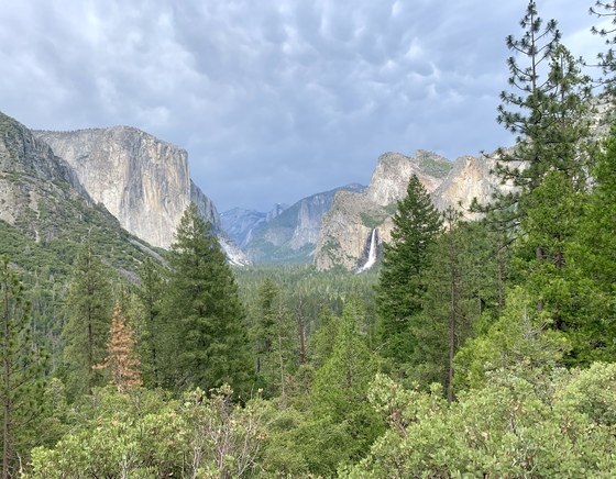 Yosemite National Park 