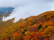 Shenandoah National Park