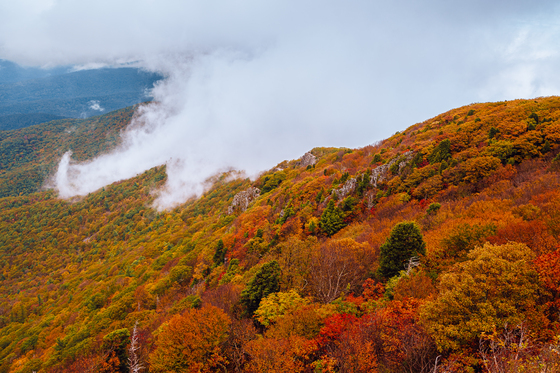 Shenandoah National Park