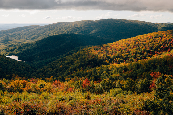 Shenandoah National Park