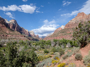 Zion National Park