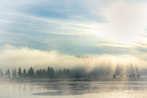 Yellowstone National Park