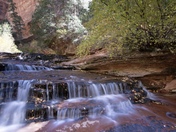 Zion national park
