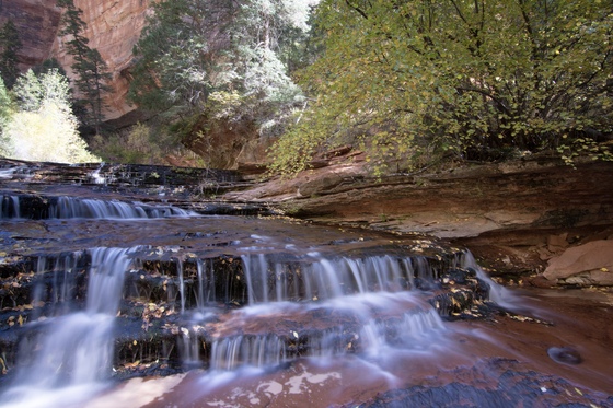 Zion national park