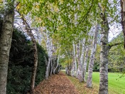 Saint-Gaudens National Historical Park