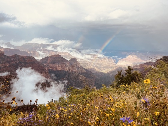 Grand Canyon national park- north rim