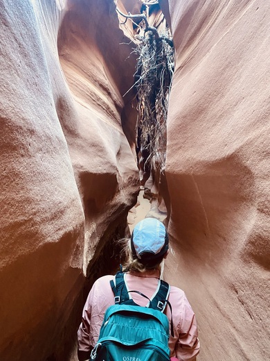 Grand staircase Escalante - Big Horn Canyo 