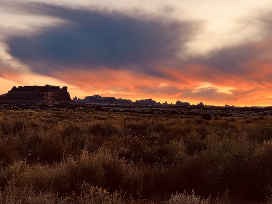 Canyonlands - Needles