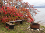 Memories of Summer Gone By